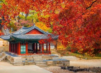 Check in cung điện Changdeok - địa điểm du lịch Hàn Quốc nổi tiếng