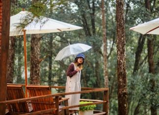 Check in 5 địa điểm du lịch Măng Đen cực hot không thể bỏ lỡ Check in 5 địa điểm du lịch Măng Đen cực hot không thể bỏ lỡ