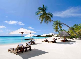 Review Bãi Dài Nha Trang có gì hot? Trọn bộ kinh nghiệm ăn chơi thả ga Review Bãi Dài Nha Trang có gì hot? Trọn bộ kinh nghiệm ăn chơi thả ga